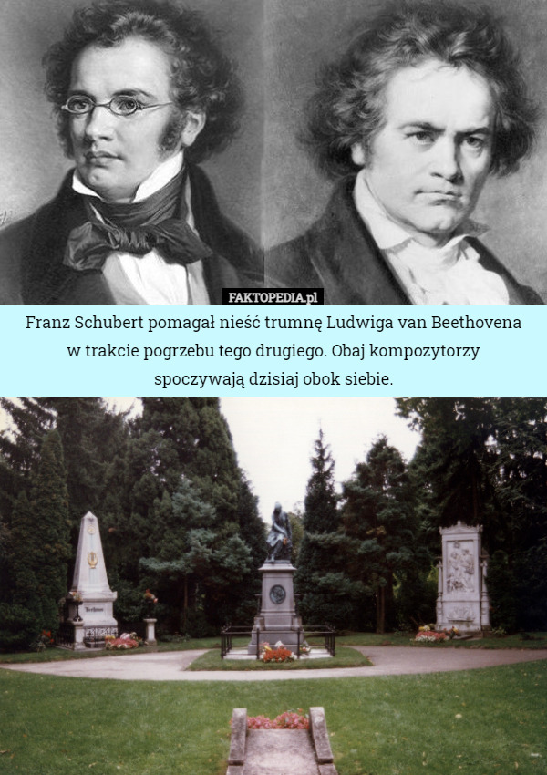 Franz Schubert pomagał nieść trumnę Ludwiga van Beethovena
 w trakcie pogrzebu tego drugiego. Obaj kompozytorzy
 spoczywają dzisiaj obok siebie. 