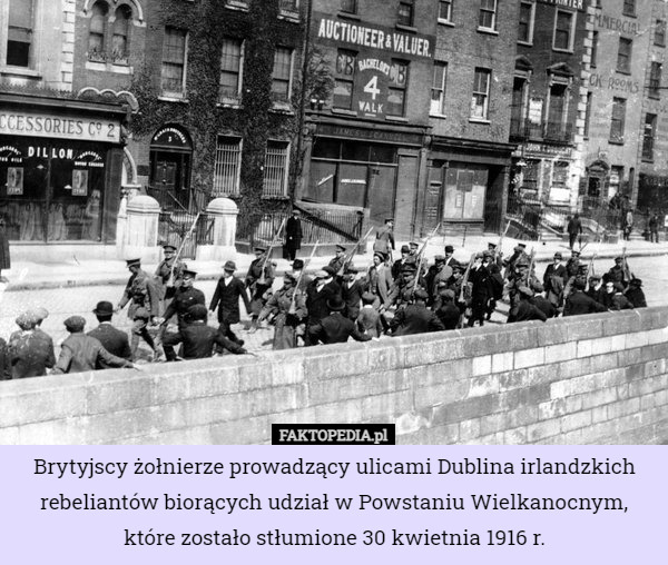 Brytyjscy żołnierze prowadzący ulicami Dublina irlandzkich rebeliantów biorących udział w Powstaniu Wielkanocnym, które zostało stłumione 30 kwietnia 1916 r. 