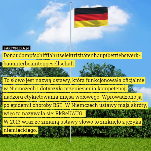 Donau­dampfschifffahrts­elektrizitäten­hauptbetriebswerk-
­bauunterbeamten­gesellschaft

To słowo jest nazwą ustawy, która funkcjonowała oficjalnie w Niemczech i dotyczyła przeniesienia kompetencji nadzoru etykietowania mięsa wołowego. Wprowadzono ją po epidemii choroby BSE. W Niemczech ustawy mają skróty, więc ta nazywała się: RkReÜAÜG. 
W 2013 wraz ze zmianą ustawy słowo to zniknęło z języka niemieckiego. 