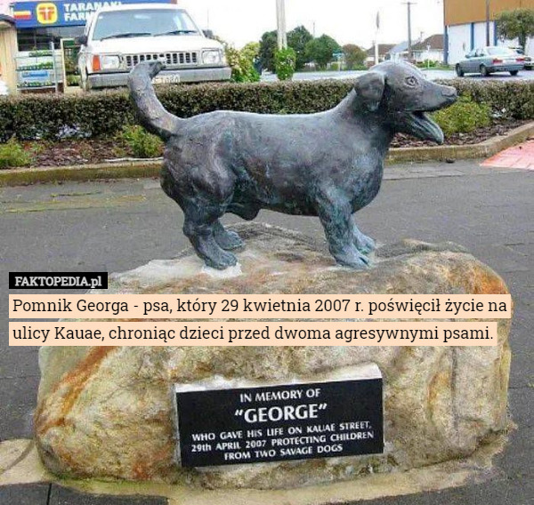 Pomnik Georga - psa, który 29 kwietnia 2007 r. poświęcił życie na ulicy Kauae, chroniąc dzieci przed dwoma agresywnymi psami. 