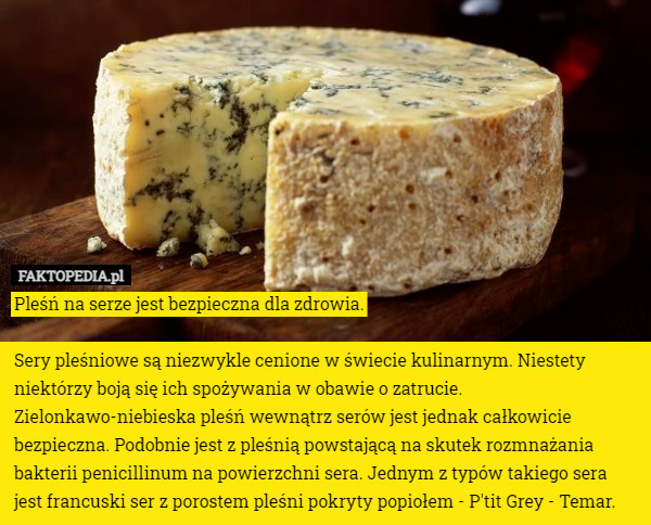 Pleśń na serze jest bezpieczna dla zdrowia.

Sery pleśniowe są niezwykle cenione w świecie kulinarnym. Niestety niektórzy boją się ich spożywania w obawie o zatrucie. Zielonkawo-niebieska pleśń wewnątrz serów jest jednak całkowicie bezpieczna. Podobnie jest z pleśnią powstającą na skutek rozmnażania bakterii penicillinum na powierzchni sera. Jednym z typów takiego sera jest francuski ser z porostem pleśni pokryty popiołem - P'tit Grey - Temar. 