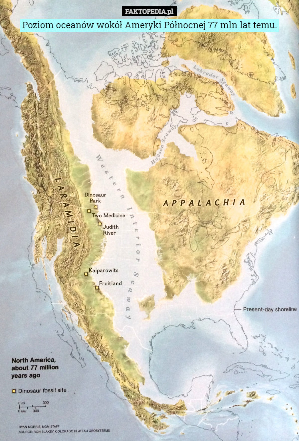 Poziom oceanów wokół Ameryki Północnej 77 mln lat temu. 