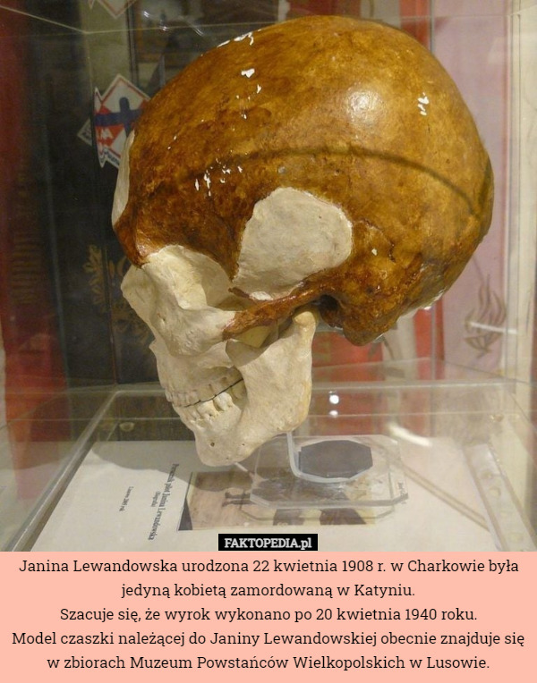 Janina Lewandowska urodzona 22 kwietnia 1908 r. w Charkowie była jedyną kobietą zamordowaną w Katyniu.
Szacuje się, że wyrok wykonano po 20 kwietnia 1940 roku.
Model czaszki należącej do Janiny Lewandowskiej obecnie znajduje się w zbiorach Muzeum Powstańców Wielkopolskich w Lusowie. 
