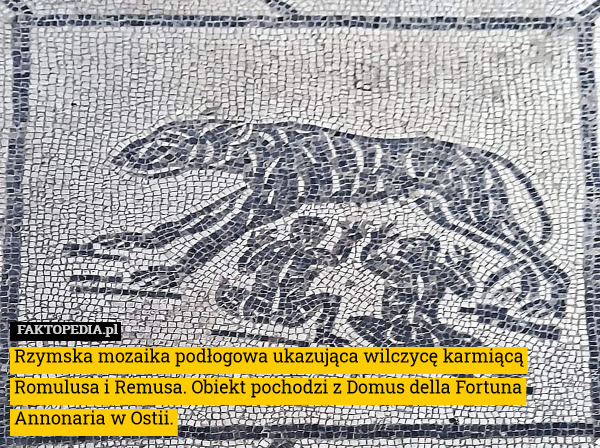 Rzymska mozaika podłogowa ukazująca wilczycę karmiącą Romulusa i Remusa. Obiekt pochodzi z Domus della Fortuna Annonaria w Ostii. 