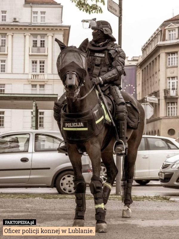 Oficer policji konnej w Lublanie. 