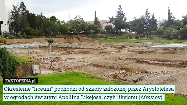 Określenie "liceum" pochodzi od szkoły założonej przez Arystotelesa
 w ogrodach świątyni Apollina Likejosa, czyli likejonu (Λύκειον). 