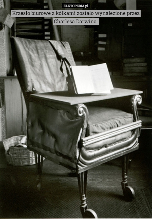 Krzesło biurowe z kółkami zostało wynalezione przez Charlesa Darwina. 