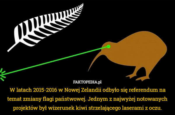 W latach 2015-2016 w Nowej Zelandii odbyło się referendum na temat zmiany flagi państwowej. Jednym z najwyżej notowanych projektów był wizerunek kiwi strzelającego laserami z oczu. 