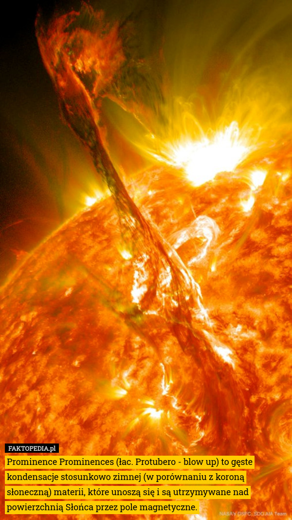 Prominence Prominences (łac. Protubero - blow up) to gęste kondensacje stosunkowo zimnej (w porównaniu z koroną słoneczną) materii, które unoszą się i są utrzymywane nad powierzchnią Słońca przez pole magnetyczne. 