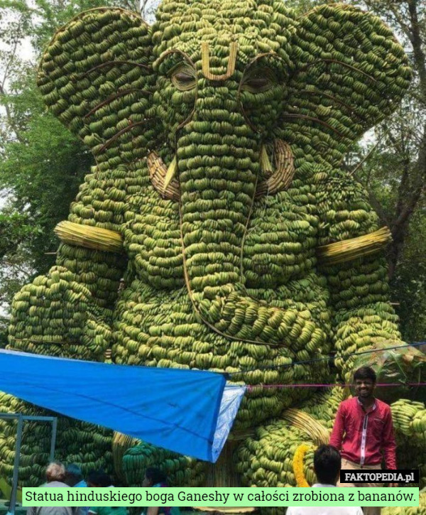 Statua hinduskiego boga Ganeshy w całości zrobiona z bananów. 