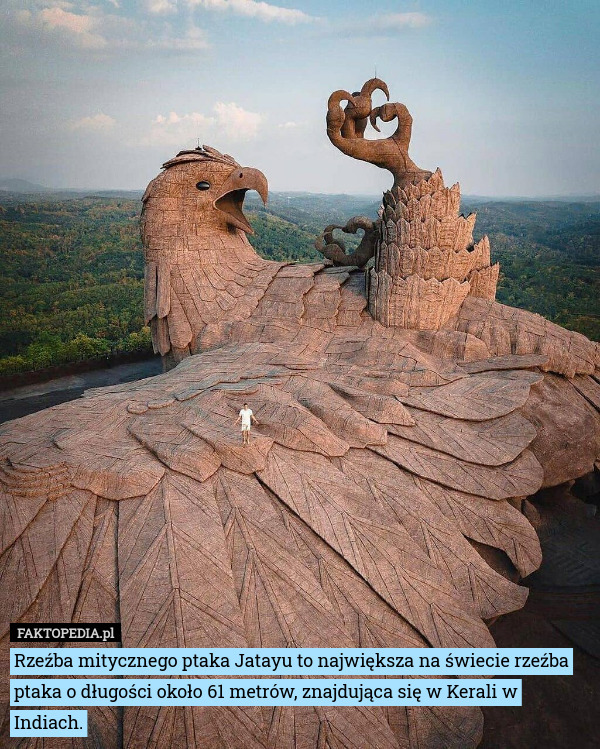 Rzeźba mitycznego ptaka Jatayu to największa na świecie rzeźba ptaka o długości około 61 metrów, znajdująca się w Kerali w Indiach. 