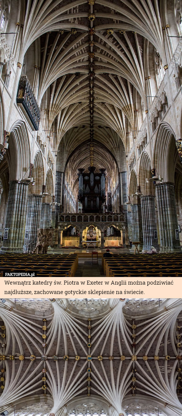 Wewnątrz katedry św. Piotra w Exeter w Anglii można podziwiać najdłuższe, zachowane gotyckie sklepienie na świecie. 