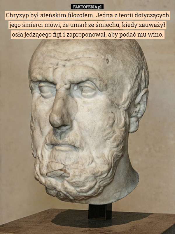 Chryzyp był ateńskim filozofem. Jedna z teorii dotyczących jego śmierci mówi, że umarł ze śmiechu, kiedy zauważył osła jedzącego figi i zaproponował, aby podać mu wino. 