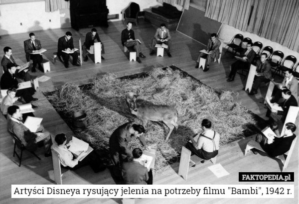 Artyści Disneya rysujący jelenia na potrzeby filmu "Bambi", 1942 r. 
