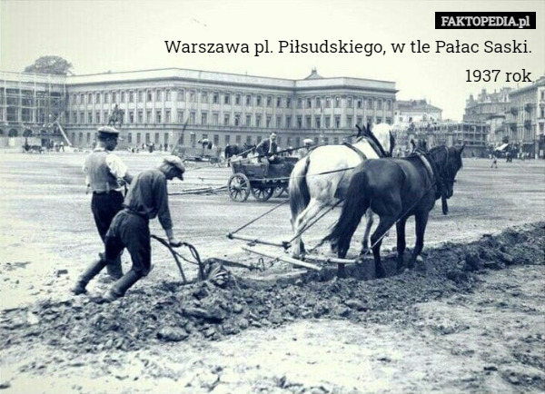 Warszawa pl. Piłsudskiego, w tle Pałac Saski.
1937 rok 