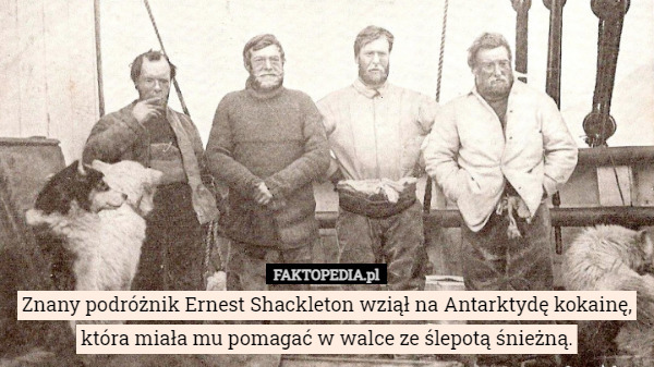 Znany podróżnik Ernest Shackleton wziął na Antarktydę kokainę, która miała mu pomagać w walce ze ślepotą śnieżną. 