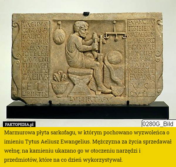 Marmurowa płyta sarkofagu, w którym pochowano wyzwoleńca o imieniu Tytus Aeliusz Ewangelius. Mężczyzna za życia sprzedawał wełnę; na kamieniu ukazano go w otoczeniu narzędzi i przedmiotów, które na co dzień wykorzystywał. 