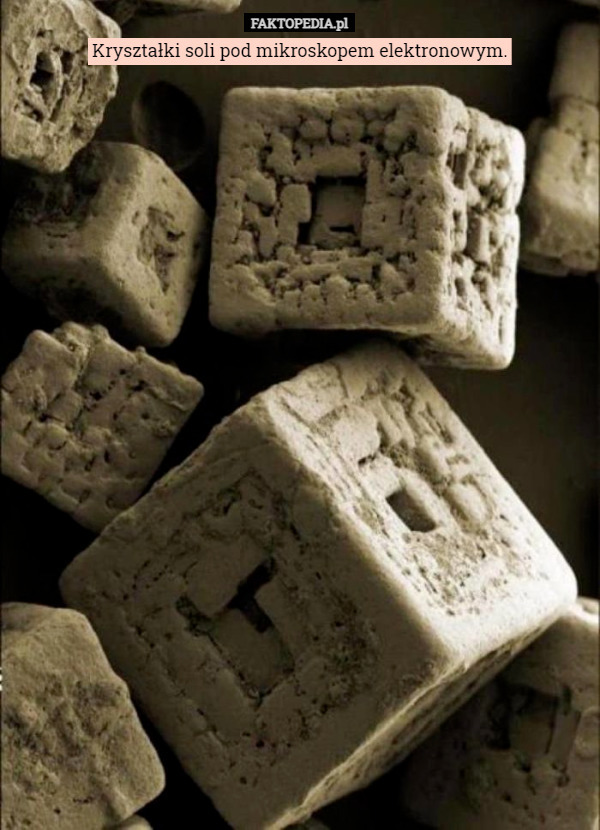 Kryształki soli pod mikroskopem elektronowym. 