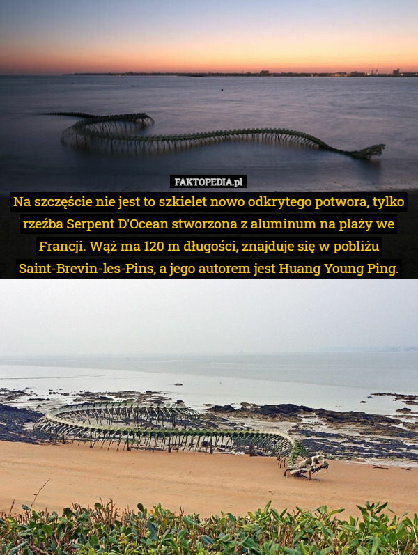 Na szczęście nie jest to szkielet nowo odkrytego potwora, tylko rzeźba Serpent D'Ocean stworzona z aluminum na plaży we Francji. Wąż ma 120 m długości, znajduje się w pobliżu Saint-Brevin-les-Pins, a jego autorem jest Huang Young Ping. 