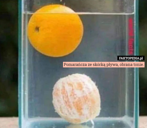 Pomarańcza ze skórką pływa, obrana tonie. 