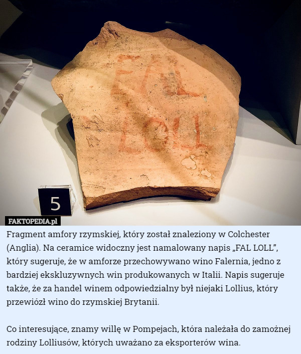 Fragment amfory rzymskiej, który został znaleziony w Colchester (Anglia). Na ceramice widoczny jest namalowany napis „FAL LOLL”, który sugeruje, że w amforze przechowywano wino Falernia, jedno z bardziej ekskluzywnych win produkowanych w Italii. Napis sugeruje także, że za handel winem odpowiedzialny był niejaki Lollius, który przewiózł wino do rzymskiej Brytanii.

Co interesujące, znamy willę w Pompejach, która należała do zamożnej rodziny Lolliusów, których uważano za eksporterów wina. 