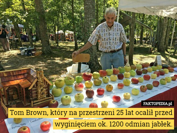 Tom Brown, który na przestrzeni 25 lat ocalił przed wyginięciem ok. 1200 odmian jabłek. 