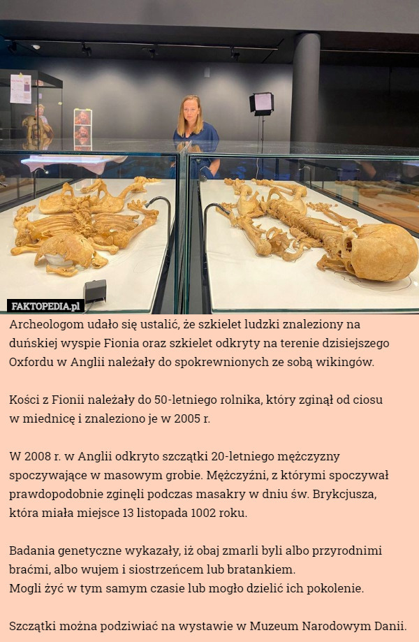 Archeologom udało się ustalić, że szkielet ludzki znaleziony na duńskiej wyspie Fionia oraz szkielet odkryty na terenie dzisiejszego Oxfordu w Anglii należały do spokrewnionych ze sobą wikingów.

Kości z Fionii należały do 50-letniego rolnika, który zginął od ciosu
 w miednicę i znaleziono je w 2005 r.

W 2008 r. w Anglii odkryto szczątki 20-letniego mężczyzny spoczywające w masowym grobie. Mężczyźni, z którymi spoczywał prawdopodobnie zginęli podczas masakry w dniu św. Brykcjusza,
 która miała miejsce 13 listopada 1002 roku.

Badania genetyczne wykazały, iż obaj zmarli byli albo przyrodnimi braćmi, albo wujem i siostrzeńcem lub bratankiem.
 Mogli żyć w tym samym czasie lub mogło dzielić ich pokolenie.

Szczątki można podziwiać na wystawie w Muzeum Narodowym Danii. 