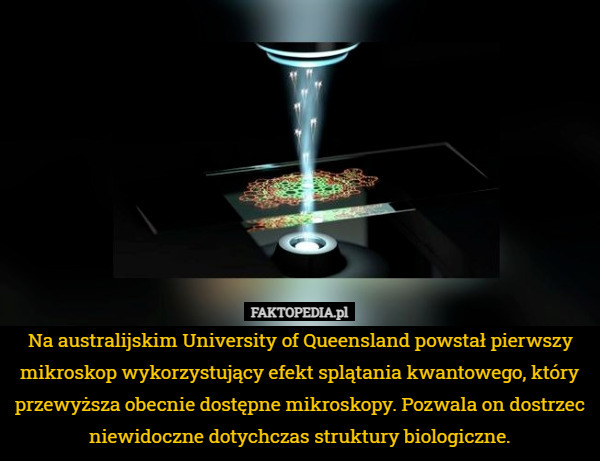 Na australijskim University of Queensland powstał pierwszy mikroskop wykorzystujący efekt splątania kwantowego, który przewyższa obecnie dostępne mikroskopy. Pozwala on dostrzec niewidoczne dotychczas struktury biologiczne. 