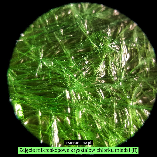 Zdjęcie mikroskopowe kryształów chlorku miedzi (II) 