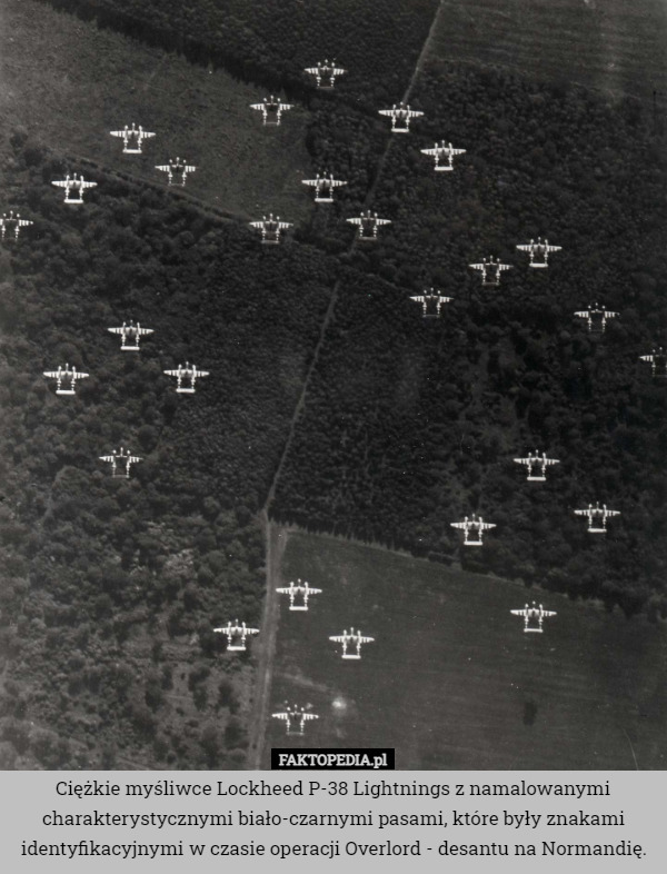 Ciężkie myśliwce Lockheed P-38 Lightnings z namalowanymi charakterystycznymi biało-czarnymi pasami, które były znakami identyfikacyjnymi w czasie operacji Overlord - desantu na Normandię. 