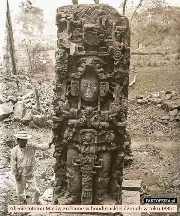Zdjęcie totemu Majów zrobione w honduraskiej dżungli w roku 1885 r. 