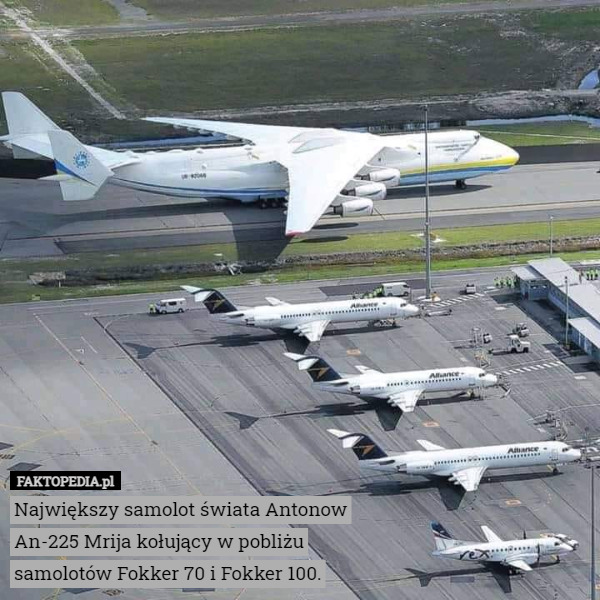 Największy samolot świata Antonow An-225 Mrija kołujący w pobliżu samolotów Fokker 70 i Fokker 100. 