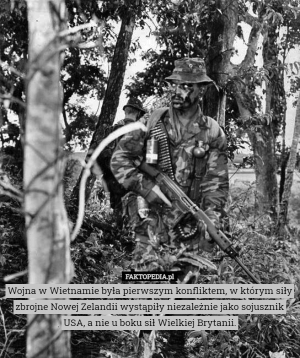 Wojna w Wietnamie była pierwszym konfliktem, w którym siły zbrojne Nowej Zelandii wystąpiły niezależnie jako sojusznik USA, a nie u boku sił Wielkiej Brytanii. 