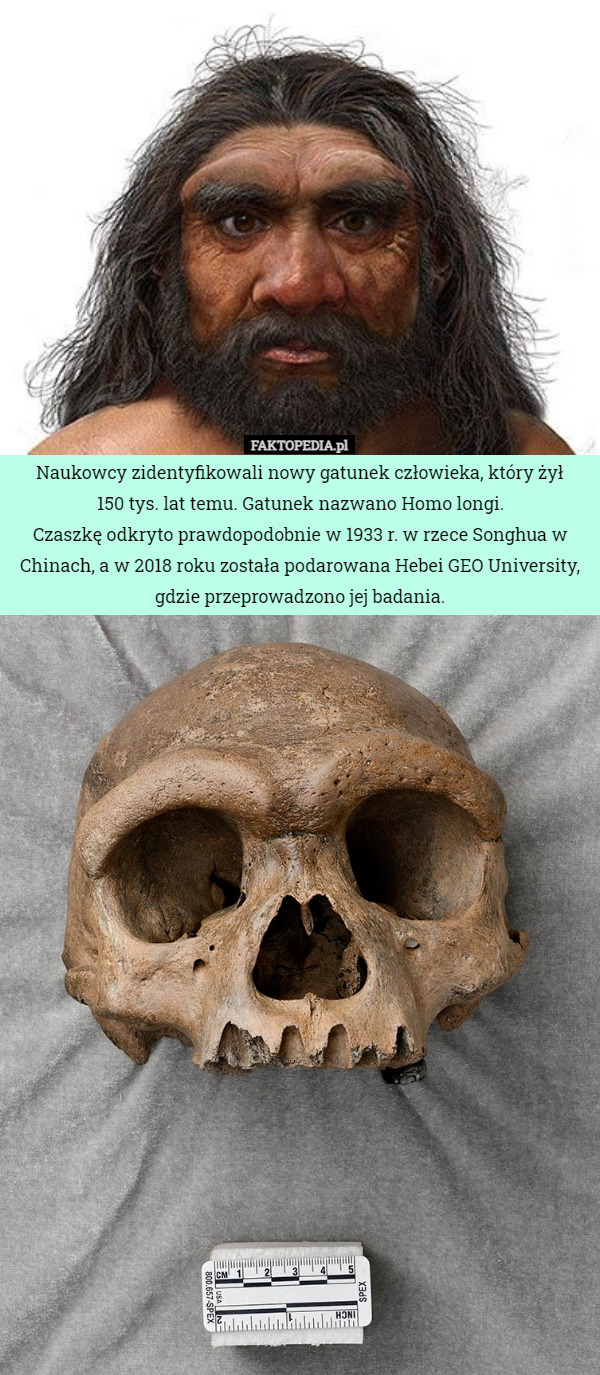 Naukowcy zidentyfikowali nowy gatunek człowieka, który żył
 150 tys. lat temu. Gatunek nazwano Homo longi.
Czaszkę odkryto prawdopodobnie w 1933 r. w rzece Songhua w Chinach, a w 2018 roku została podarowana Hebei GEO University, gdzie przeprowadzono jej badania. 