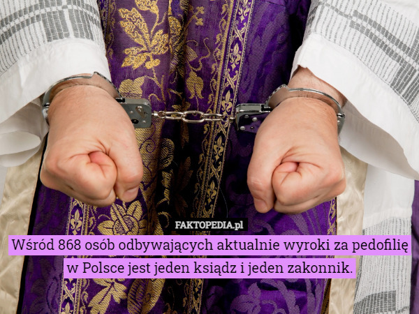 Wśród 868 osób odbywających aktualnie wyroki za pedofilię w Polsce jest jeden ksiądz i jeden zakonnik. 