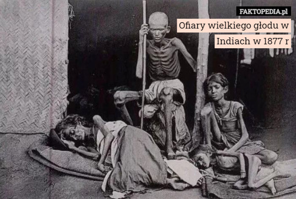 Ofiary wielkiego głodu w Indiach w 1877 r 