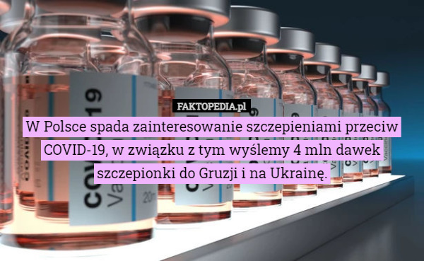 W Polsce spada zainteresowanie szczepieniami przeciw COVID-19, w związku z tym wyślemy 4 mln dawek szczepionki do Gruzji i na Ukrainę. 