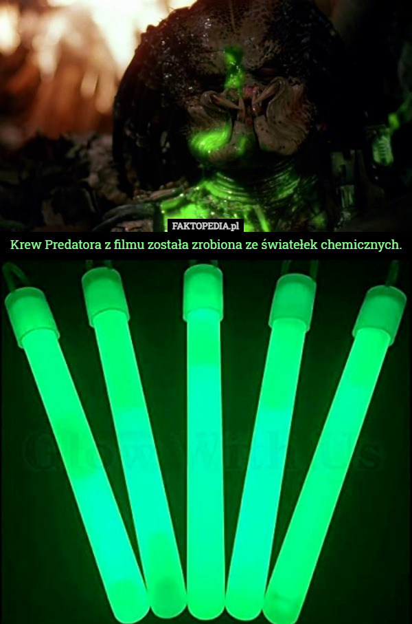 Krew Predatora z filmu została zrobiona ze światełek chemicznych. 