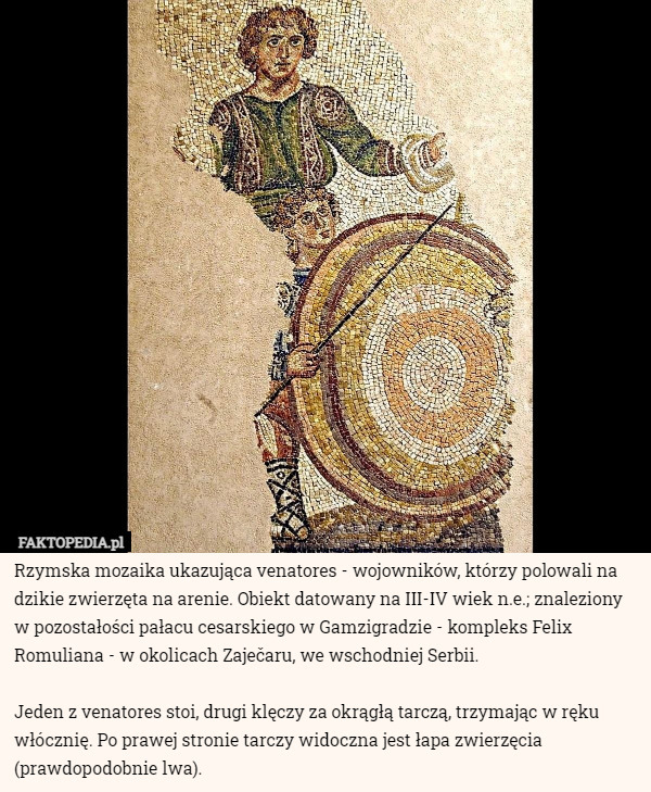 Rzymska mozaika ukazująca venatores - wojowników, którzy polowali na dzikie zwierzęta na arenie. Obiekt datowany na III-IV wiek n.e.; znaleziony w pozostałości pałacu cesarskiego w Gamzigradzie - kompleks Felix Romuliana - w okolicach Zaječaru, we wschodniej Serbii.

Jeden z venatores stoi, drugi klęczy za okrągłą tarczą, trzymając w ręku włócznię. Po prawej stronie tarczy widoczna jest łapa zwierzęcia (prawdopodobnie lwa). 