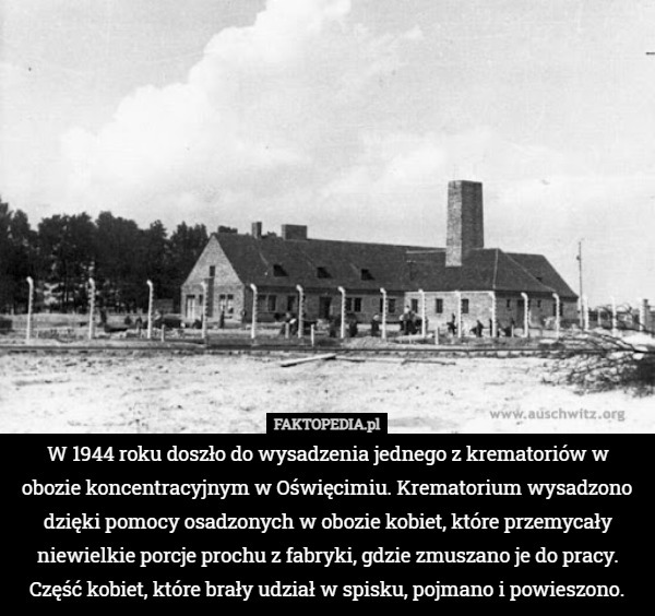 W 1944 roku doszło do wysadzenia jednego z krematoriów w obozie koncentracyjnym w Oświęcimiu. Krematorium wysadzono dzięki pomocy osadzonych w obozie kobiet, które przemycały niewielkie porcje prochu z fabryki, gdzie zmuszano je do pracy. Część kobiet, które brały udział w spisku, pojmano i powieszono. 