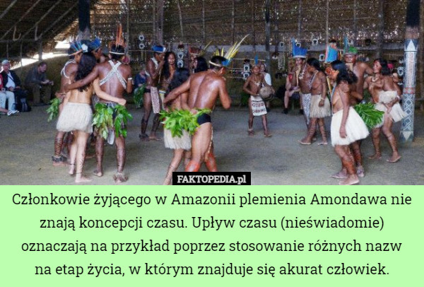 Członkowie żyjącego w Amazonii plemienia Amondawa nie znają koncepcji czasu. Upływ czasu (nieświadomie) oznaczają na przykład poprzez stosowanie różnych nazw
 na etap życia, w którym znajduje się akurat człowiek. 