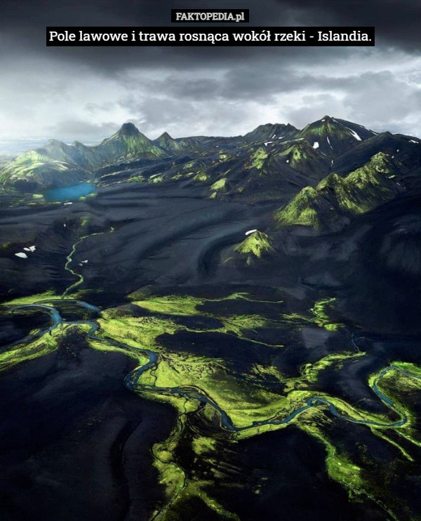 Pole lawowe i trawa rosnąca wokół rzeki - Islandia. 