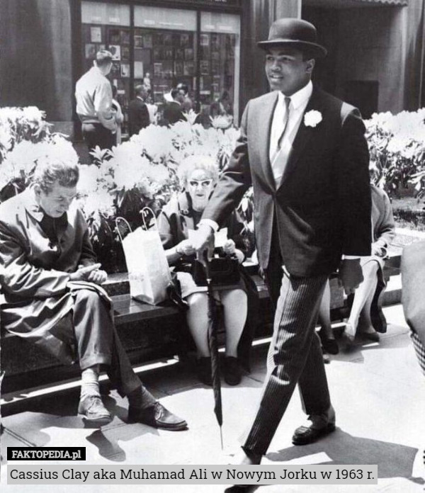 Cassius Clay aka Muhamad Ali w Nowym Jorku w 1963 r. 