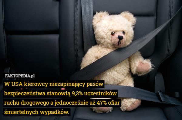 W USA kierowcy niezapinający pasów bezpieczeństwa stanowią 9,3% uczestników ruchu drogowego a jednocześnie aż 47% ofiar śmiertelnych wypadków. 