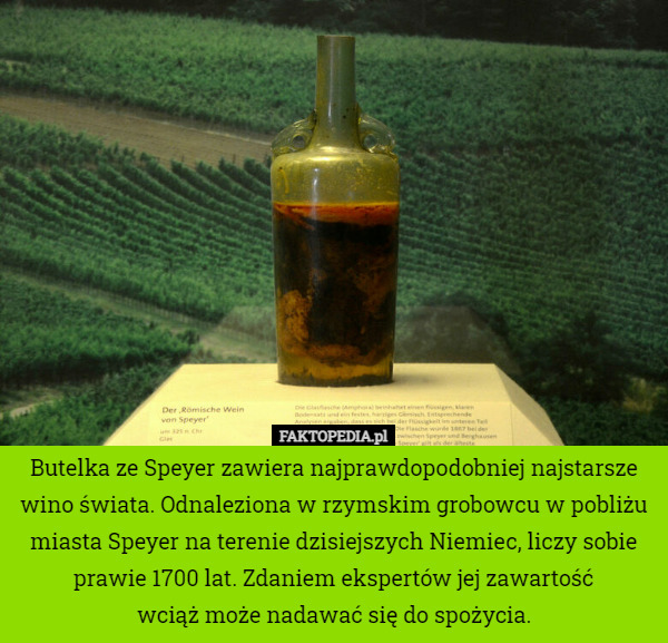 Butelka ze Speyer zawiera najprawdopodobniej najstarsze wino świata. Odnaleziona w rzymskim grobowcu w pobliżu miasta Speyer na terenie dzisiejszych Niemiec, liczy sobie prawie 1700 lat. Zdaniem ekspertów jej zawartość
 wciąż może nadawać się do spożycia. 