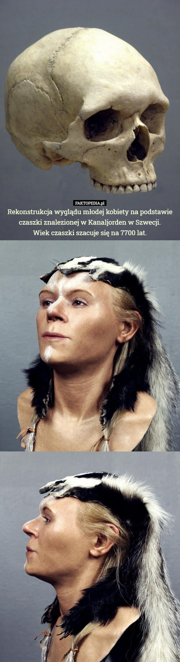 Rekonstrukcja wyglądu młodej kobiety na podstawie czaszki znalezionej w Kanaljorden w Szwecji.
 Wiek czaszki szacuje się na 7700 lat. 