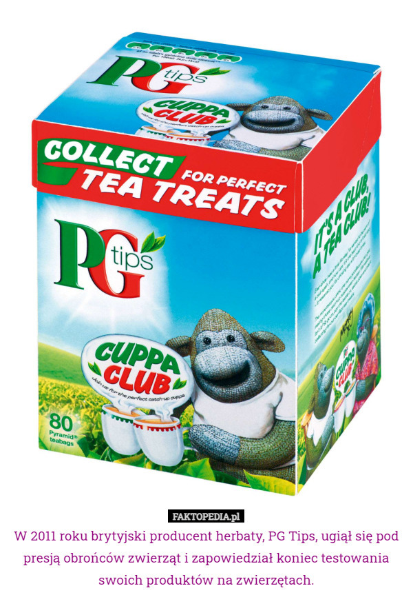 W 2011 roku brytyjski producent herbaty, PG Tips, ugiął się pod presją obrońców zwierząt i zapowiedział koniec testowania swoich produktów na zwierzętach. 