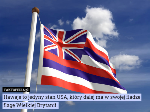 Hawaje to jedyny stan USA, który dalej ma w swojej fladze flagę Wielkiej Brytanii. 