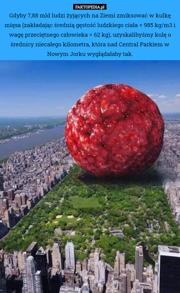 Gdyby 7,88 mld ludzi żyjących na Ziemi zmiksować w kulkę mięsa (zakładając średnią gęstość ludzkiego ciała = 985 kg/m3 i wagę przeciętnego człowieka = 62 kg), uzyskalibyśmy kulę o średnicy niecałego kilometra, która nad Central Parkiem w Nowym Jorku wyglądałaby tak. 