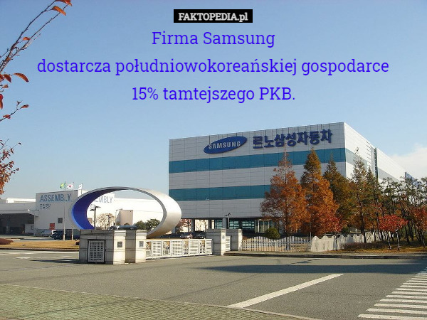 Firma Samsung
dostarcza południowokoreańskiej gospodarce
15% tamtejszego PKB. 